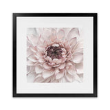 Shop Divine Dahlia II (Square) Art Print-Botanicals, Florals, Hamptons, Pink, Square, View All-framed painted poster wall decor artwork