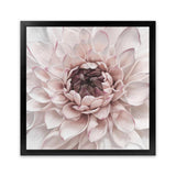 Shop Divine Dahlia II (Square) Art Print-Botanicals, Florals, Hamptons, Pink, Square, View All-framed painted poster wall decor artwork