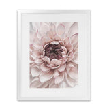 Shop Divine Dahlia II Art Print-Botanicals, Florals, Hamptons, Pink, Portrait, View All-framed painted poster wall decor artwork