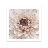 Shop Divine Dahlia IV (Square) Art Print-Botanicals, Florals, Hamptons, Neutrals, Square, View All-framed painted poster wall decor artwork