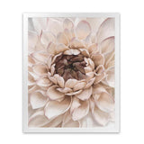 Shop Divine Dahlia IV Art Print-Botanicals, Florals, Hamptons, Neutrals, Portrait, View All-framed painted poster wall decor artwork