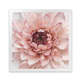 Shop Divine Dahlia (Square) Art Print-Botanicals, Florals, Hamptons, Pink, Square, View All-framed painted poster wall decor artwork