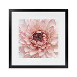 Shop Divine Dahlia (Square) Art Print-Botanicals, Florals, Hamptons, Pink, Square, View All-framed painted poster wall decor artwork