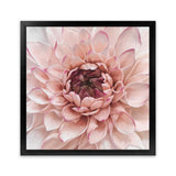 Shop Divine Dahlia (Square) Art Print-Botanicals, Florals, Hamptons, Pink, Square, View All-framed painted poster wall decor artwork