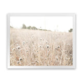 Shop Dried Flower Field Photo Art Print-Boho, Botanicals, Hamptons, Landscape, Neutrals, Photography, View All-framed poster wall decor artwork