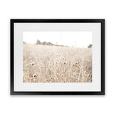 Shop Dried Flower Field Photo Art Print-Boho, Botanicals, Hamptons, Landscape, Neutrals, Photography, View All-framed poster wall decor artwork