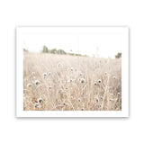 Shop Dried Flower Field Photo Art Print-Boho, Botanicals, Hamptons, Landscape, Neutrals, Photography, View All-framed poster wall decor artwork