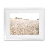 Shop Dried Flower Field Photo Art Print-Boho, Botanicals, Hamptons, Landscape, Neutrals, Photography, View All-framed poster wall decor artwork