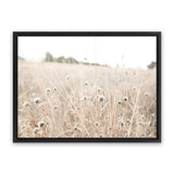 Shop Dried Flower Field Photo Canvas Art Print-Boho, Botanicals, Hamptons, Landscape, Neutrals, Photography, Photography Canvas Prints, View All-framed wall decor artwork