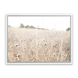 Shop Dried Flower Field Photo Canvas Art Print-Boho, Botanicals, Hamptons, Landscape, Neutrals, Photography, Photography Canvas Prints, View All-framed wall decor artwork