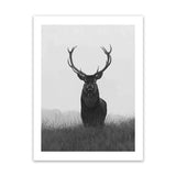 Shop Black & White Elk Art Print-Animals, Black, Grey, Hamptons, Portrait, Scandinavian, View All, White-framed painted poster wall decor artwork