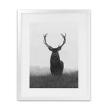 Shop Black & White Elk Art Print-Animals, Black, Grey, Hamptons, Portrait, Scandinavian, View All, White-framed painted poster wall decor artwork