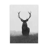 Shop Black & White Elk Canvas Art Print-Animals, Black, Grey, Hamptons, Portrait, Scandinavian, View All, White-framed wall decor artwork