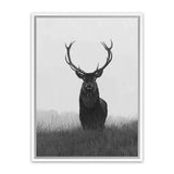 Shop Black & White Elk Canvas Art Print-Animals, Black, Grey, Hamptons, Portrait, Scandinavian, View All, White-framed wall decor artwork