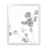 Shop Eucalyptus I Photo Art Print-Botanicals, Florals, Green, Photography, Portrait, View All, White-framed poster wall decor artwork