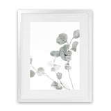 Shop Eucalyptus I Photo Art Print-Botanicals, Florals, Green, Photography, Portrait, View All, White-framed poster wall decor artwork