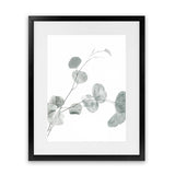 Shop Eucalyptus II Photo Art Print-Botanicals, Green, Photography, Portrait, View All, White-framed poster wall decor artwork