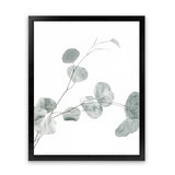 Shop Eucalyptus II Photo Art Print-Botanicals, Green, Photography, Portrait, View All, White-framed poster wall decor artwork