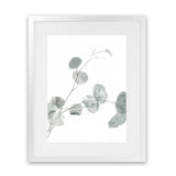 Shop Eucalyptus II Photo Art Print-Botanicals, Green, Photography, Portrait, View All, White-framed poster wall decor artwork