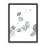Shop Eucalyptus II Photo Canvas Art Print-Botanicals, Green, Photography, Photography Canvas Prints, Portrait, View All, White-framed wall decor artwork