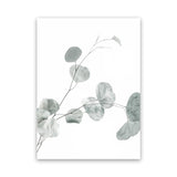 Shop Eucalyptus II Photo Canvas Art Print-Botanicals, Green, Photography, Photography Canvas Prints, Portrait, View All, White-framed wall decor artwork