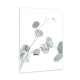 Shop Eucalyptus II Photo Canvas Art Print-Botanicals, Green, Photography, Photography Canvas Prints, Portrait, View All, White-framed wall decor artwork