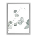 Shop Eucalyptus II Photo Canvas Art Print-Botanicals, Green, Photography, Photography Canvas Prints, Portrait, View All, White-framed wall decor artwork