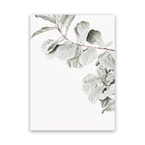 Shop Fiddle-Leaf Fig II Photo Canvas Art Print-Botanicals, Florals, Green, Hamptons, Photography, Photography Canvas Prints, Portrait, View All, White-framed wall decor artwork