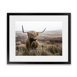 Shop Highland Cow I Photo Art Print-Animals, Brown, Green, Landscape, Photography, Scandinavian, View All-framed poster wall decor artwork