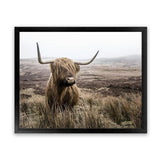 Shop Highland Cow I Photo Art Print-Animals, Brown, Green, Landscape, Photography, Scandinavian, View All-framed poster wall decor artwork