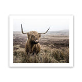 Shop Highland Cow I Photo Art Print-Animals, Brown, Green, Landscape, Photography, Scandinavian, View All-framed poster wall decor artwork