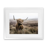 Shop Highland Cow I Photo Art Print-Animals, Brown, Green, Landscape, Photography, Scandinavian, View All-framed poster wall decor artwork