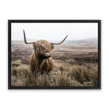 Shop Highland Cow I Photo Canvas Art Print-Animals, Brown, Green, Landscape, Photography, Photography Canvas Prints, Scandinavian, View All-framed wall decor artwork