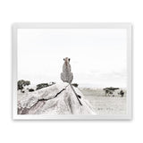 Shop Lookout Point Photo Art Print-African, Animals, Landscape, Neutrals, Photography, View All, White-framed poster wall decor artwork