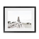 Shop Lookout Point Photo Art Print-African, Animals, Landscape, Neutrals, Photography, View All, White-framed poster wall decor artwork