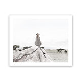Shop Lookout Point Photo Art Print-African, Animals, Landscape, Neutrals, Photography, View All, White-framed poster wall decor artwork
