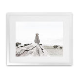 Shop Lookout Point Photo Art Print-African, Animals, Landscape, Neutrals, Photography, View All, White-framed poster wall decor artwork