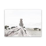 Shop Lookout Point Photo Canvas Print-African, Animals, Landscape, Neutrals, Photography, Photography Canvas Prints, View All, White-framed wall decor artwork