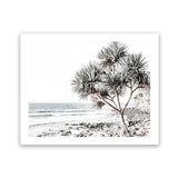 Shop Noosa I Photo Art Print-Boho, Coastal, Green, Landscape, Photography, Tropical, View All, White-framed poster wall decor artwork