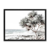 Shop Noosa I Photo Canvas Art Print-Boho, Coastal, Green, Landscape, Photography, Photography Canvas Prints, Tropical, View All, White-framed wall decor artwork