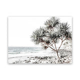 Shop Noosa I Photo Canvas Art Print-Boho, Coastal, Green, Landscape, Photography, Photography Canvas Prints, Tropical, View All, White-framed wall decor artwork