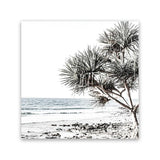 Shop Noosa I (Square) Photo Canvas Art Print-Boho, Botanicals, Coastal, Green, Photography, Photography Canvas Prints, Square, Tropical, View All, White-framed wall decor artwork