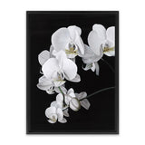 Shop Orchid Canvas Art Print-Black, Florals, Hamptons, Portrait, Scandinavian, View All, White-framed wall decor artwork