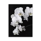Shop Orchid Canvas Art Print-Black, Florals, Hamptons, Portrait, Scandinavian, View All, White-framed wall decor artwork