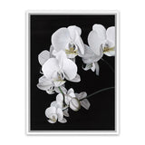 Shop Orchid Canvas Art Print-Black, Florals, Hamptons, Portrait, Scandinavian, View All, White-framed wall decor artwork