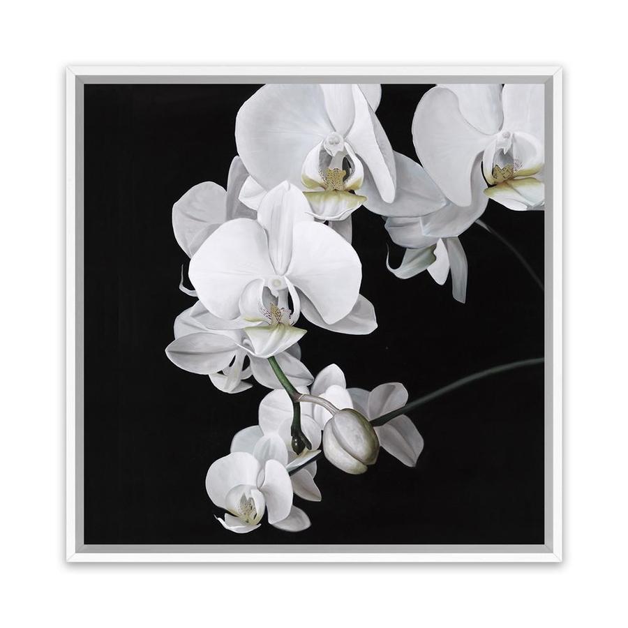Buy Orchid Square Canvas Art Print | The Print Emporium®
