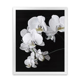 Shop Orchid Art Print-Black, Florals, Hamptons, Portrait, Scandinavian, View All, White-framed painted poster wall decor artwork