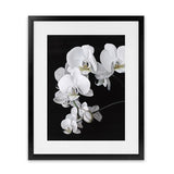 Shop Orchid Art Print-Black, Florals, Hamptons, Portrait, Scandinavian, View All, White-framed painted poster wall decor artwork