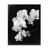 Shop Orchid Art Print-Black, Florals, Hamptons, Portrait, Scandinavian, View All, White-framed painted poster wall decor artwork