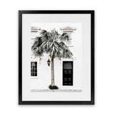 Shop Palm House II Photo Art Print-Boho, Coastal, Green, Hamptons, Photography, Portrait, Tropical, View All, White-framed poster wall decor artwork